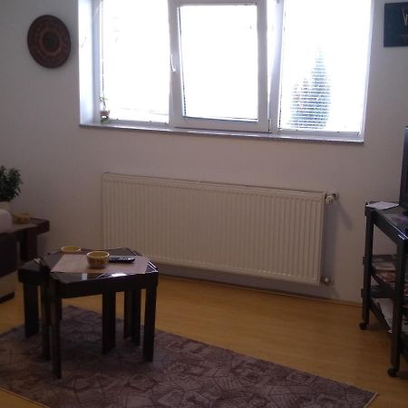 Apartment Vojinovic Arandjelovac Bagian luar foto
